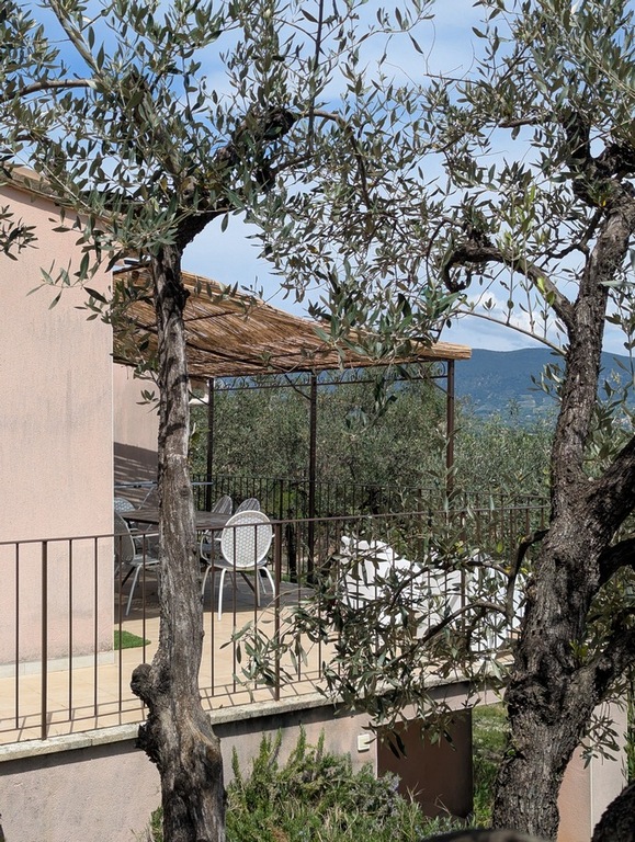 Le_cigalon_Terrasse_3